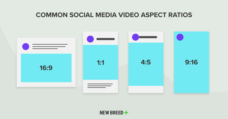 Common Social Media Aspect Ratios