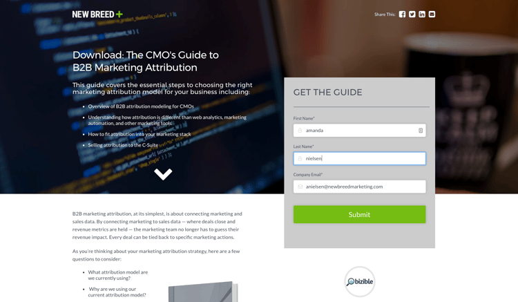 example of a landing page