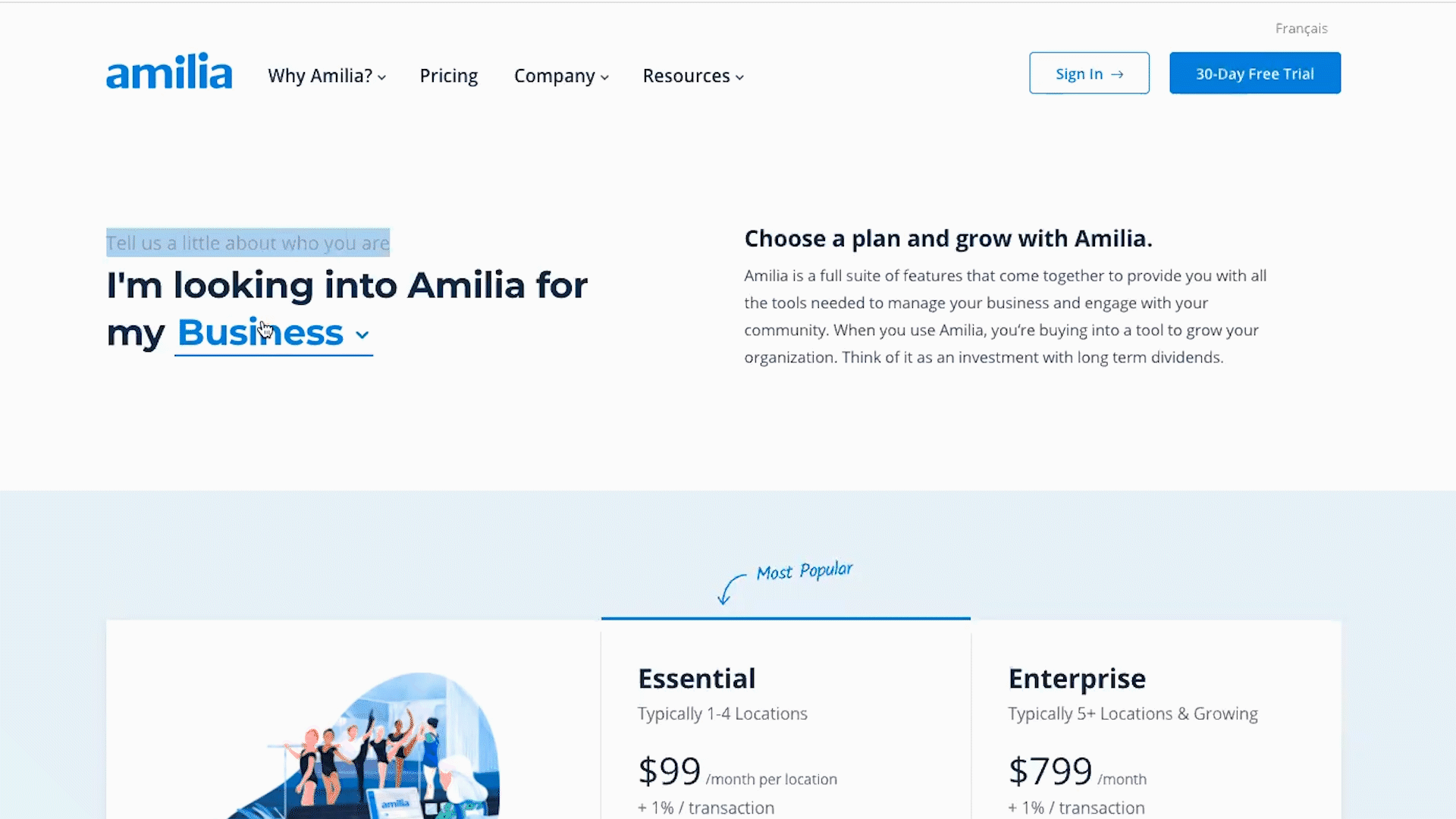 UX Design-Amilia Pricing