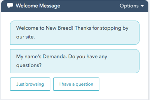 Chatbot welcome message