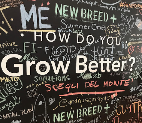why you should scale your business with the hubspot growth suite