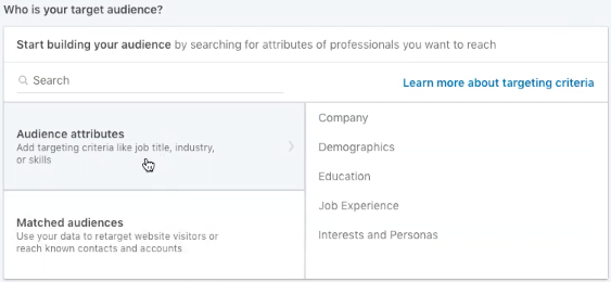 LinkedIn audience attributes selection 