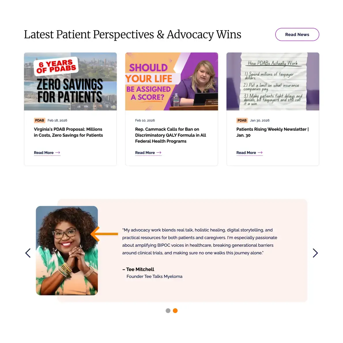 New Breed Website Examples | Patients Rising Example Image 4