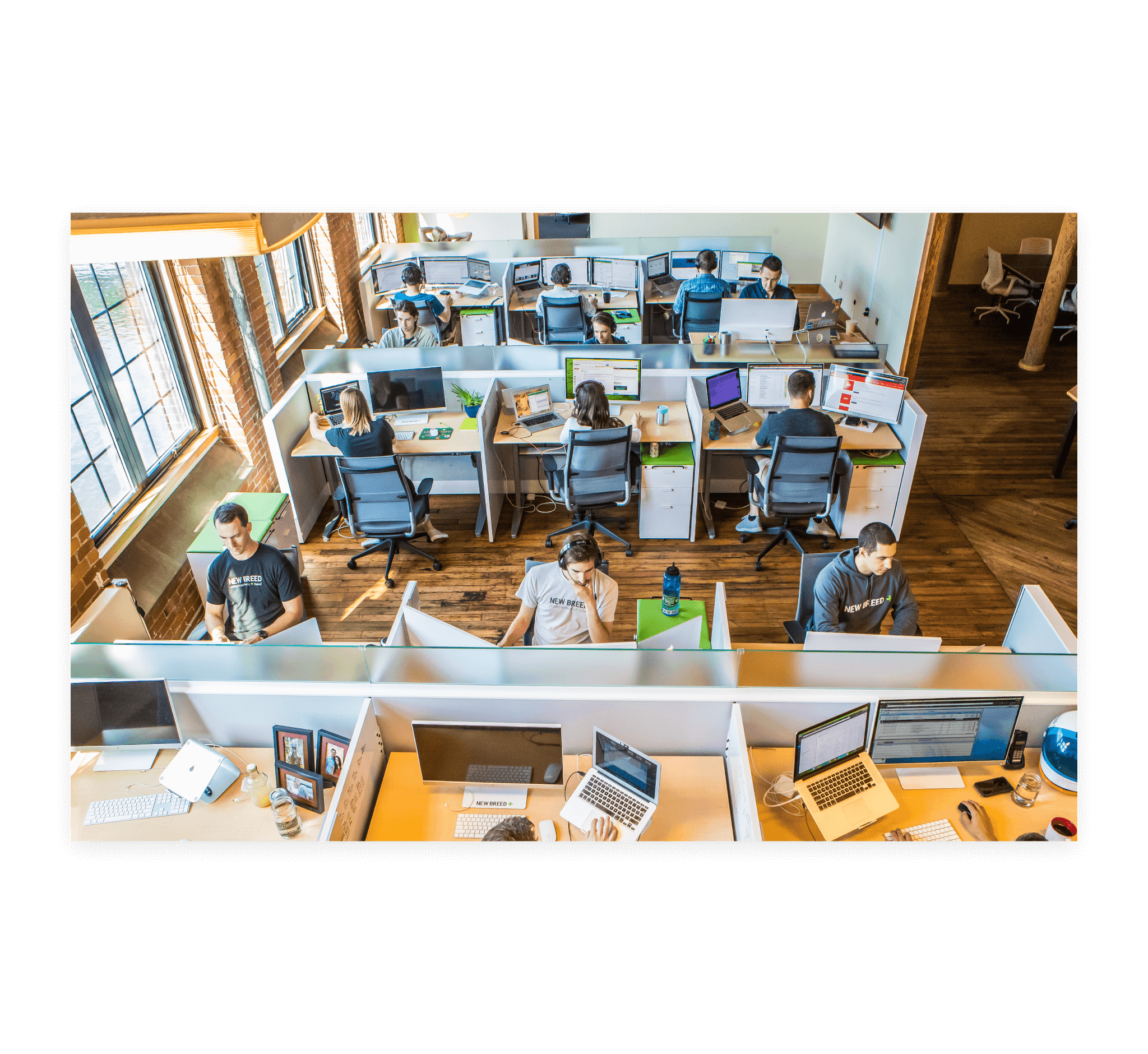 New Breed team photo in the office.