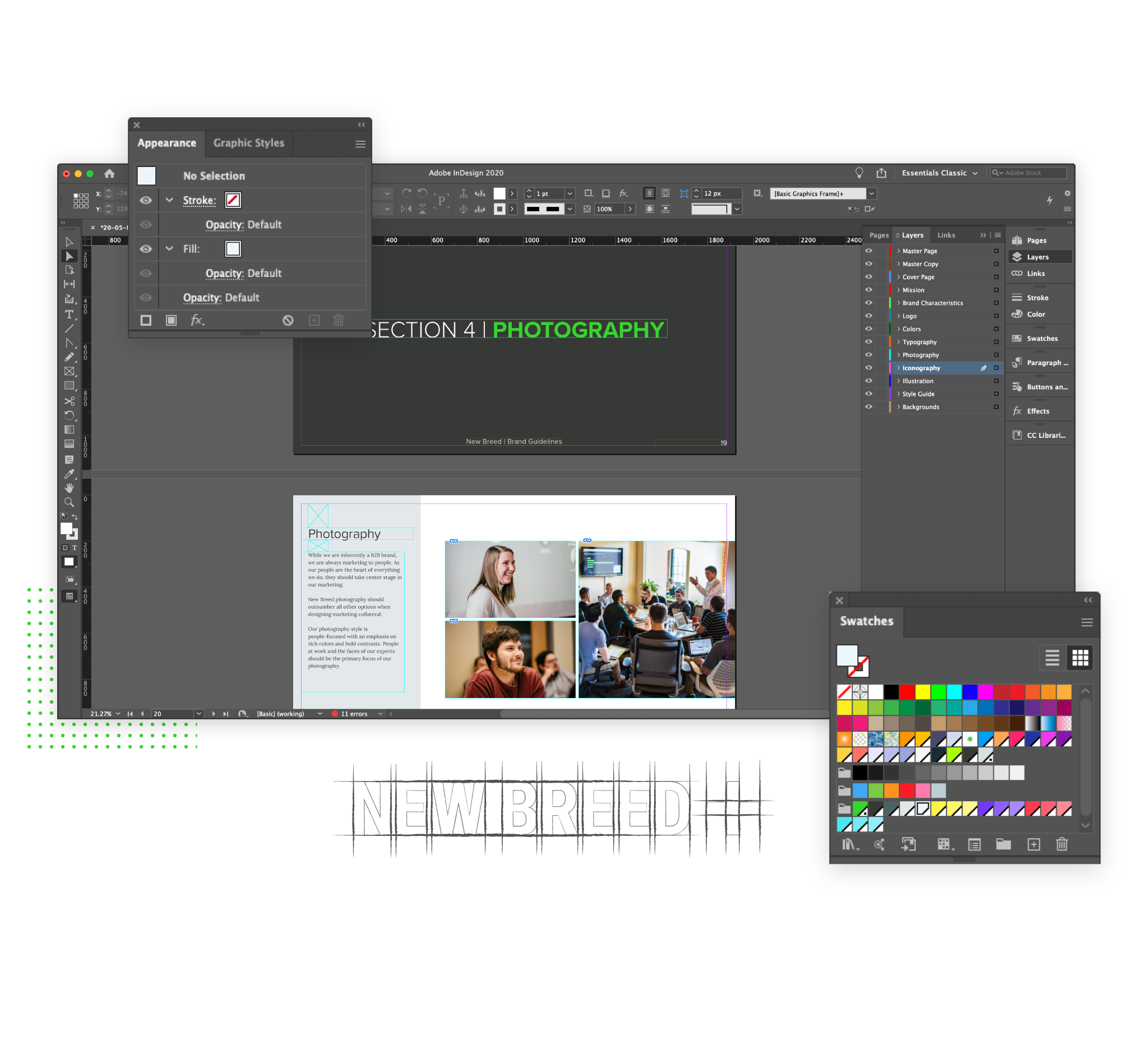 Screenshot of brand and visual design in Adobe.